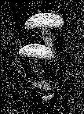 A dithered monochrome image of a mushroom.